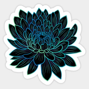 Colorful chrysanthemum or Mums flower drawing - faded blue with green lines in the petals. Sticker